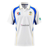 Custom Embroidered Logo Lines Large Size Breathable Mesh Cotton Sweat-Absorbent and Deodorant Sports Leisure Pickleball Jersey